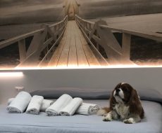 hotel 3 stelle sottomarina_n